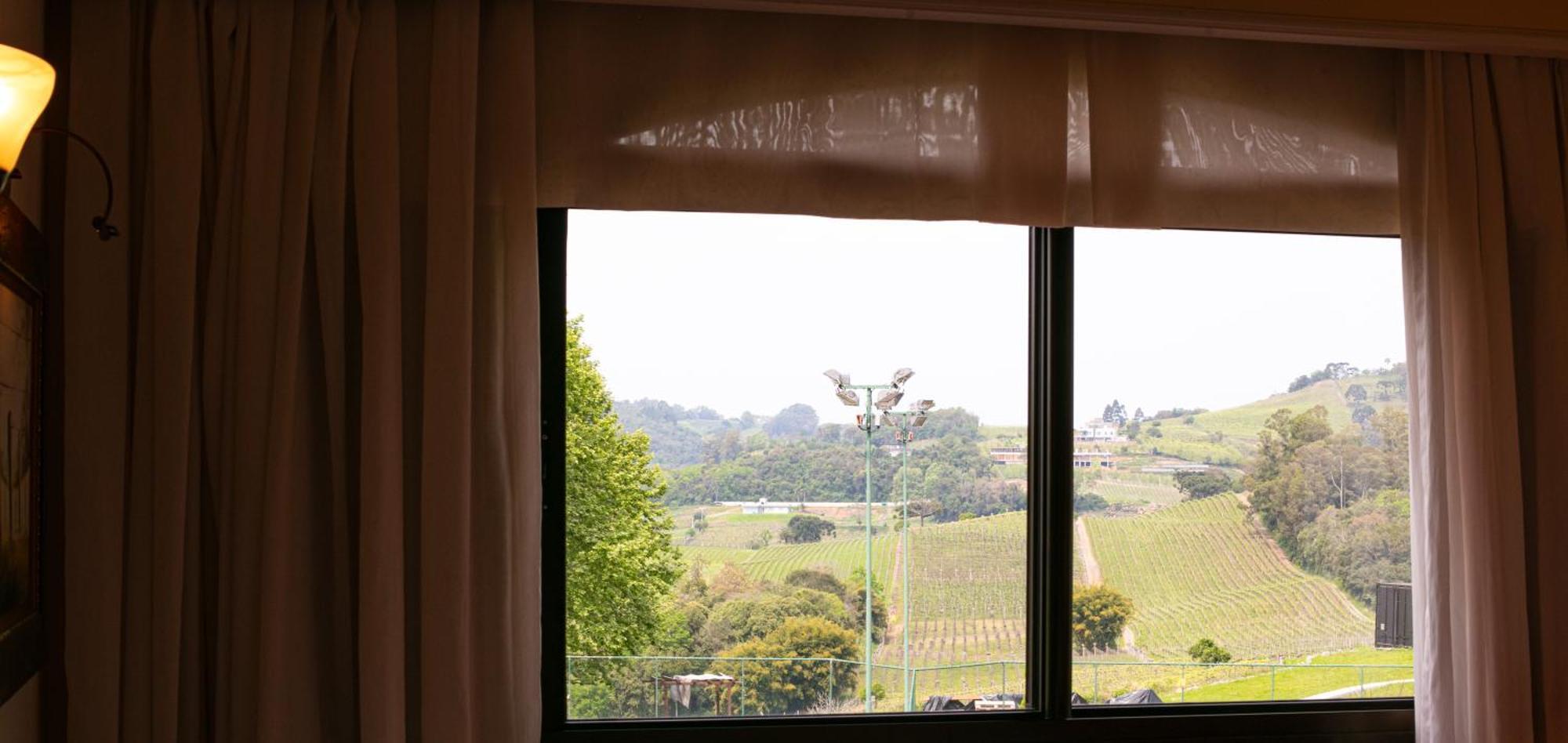호텔 앤 스파 도 비뇨, 오토그래프 컬렉션 벤투곤살베스 외부 사진 A view of the Hunter Valley from a Hunter Valley wine cellar door